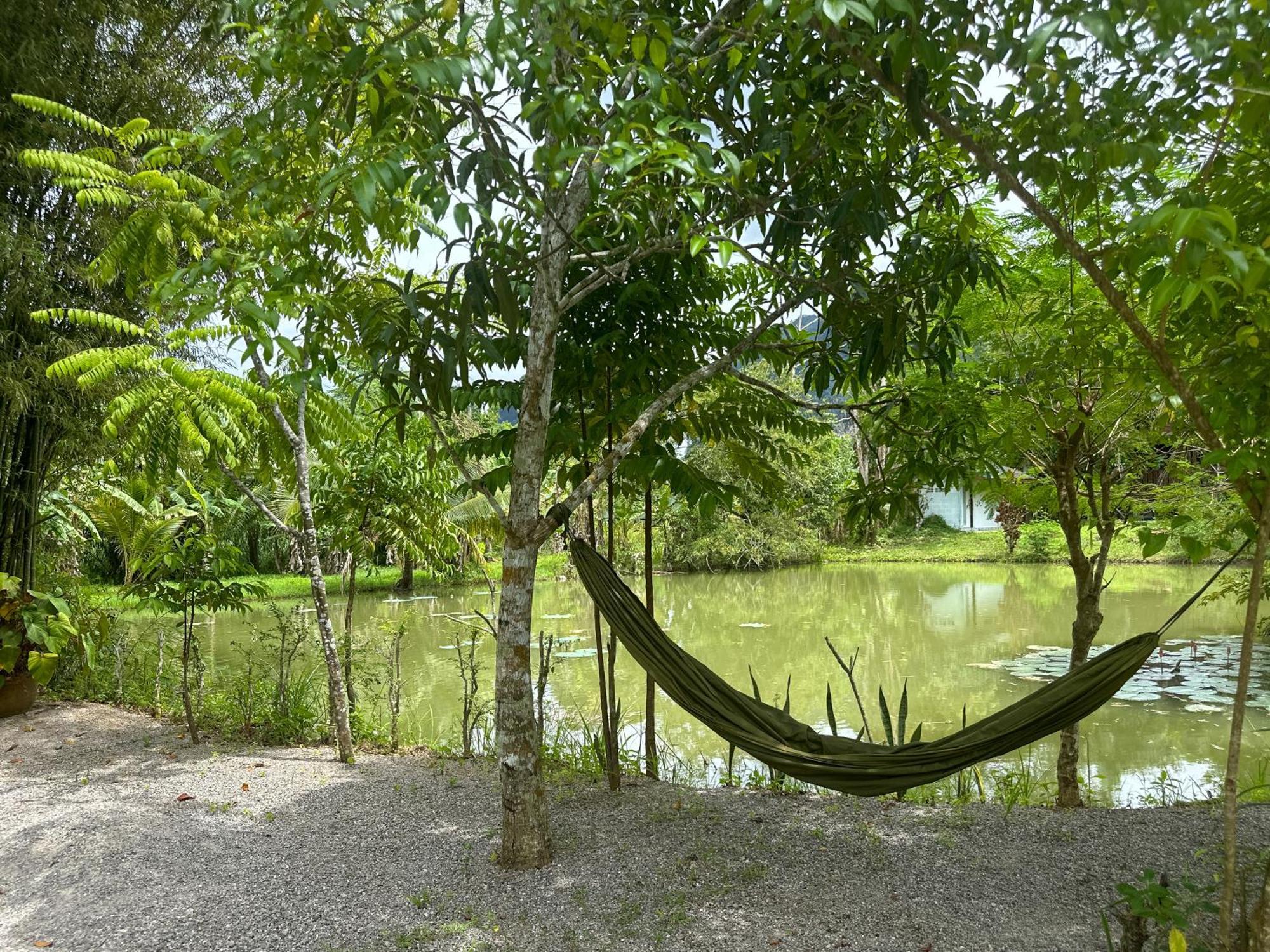 Baan Panmala Guesthouse - Ao Luek, Krabi ภายนอก รูปภาพ