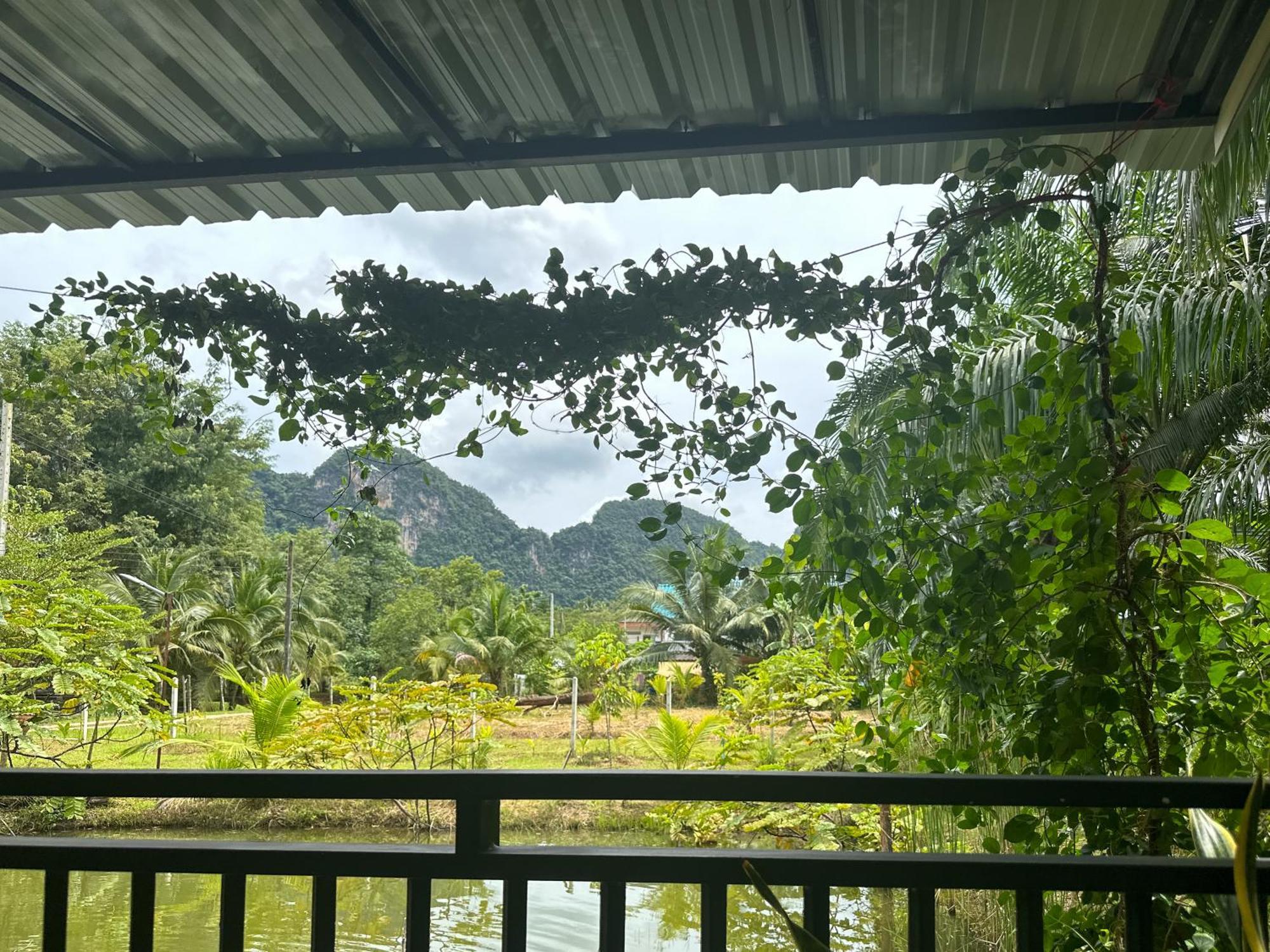 Baan Panmala Guesthouse - Ao Luek, Krabi ภายนอก รูปภาพ